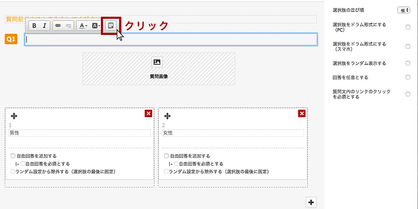  設問内に動画（YouTubeなど）を挿入