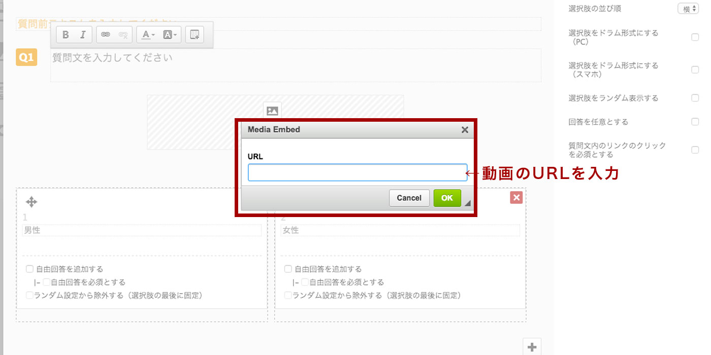  設問内に動画（YouTubeなど）を挿入