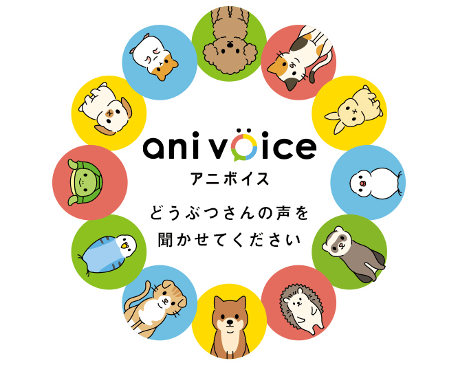 ani voice（アニボイス）